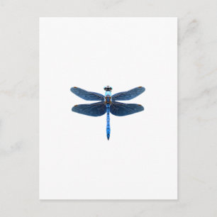 Blue Dragonfly - Insect Wildlife Animal Lover Ento Postcard