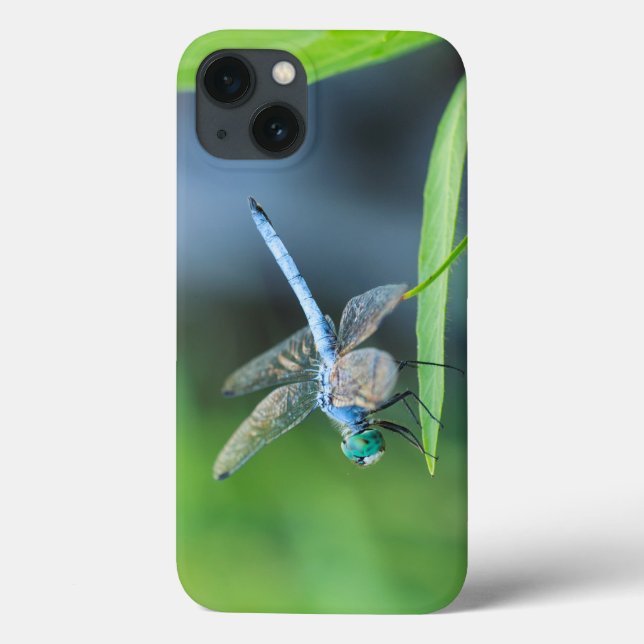 Blue Dragonfly iPad or Phone Case (Back)