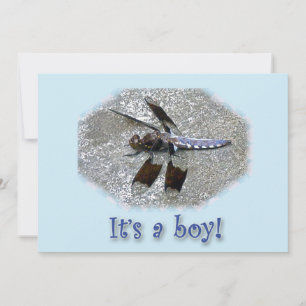 Blue Dragonfly It's a boy! Announcement
