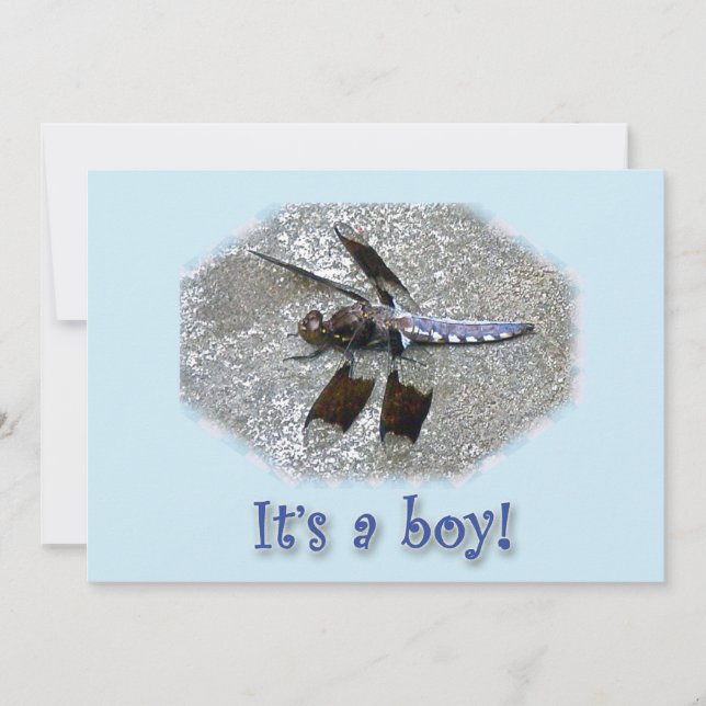 Blue Dragonfly It's a boy! Announcement (Front)