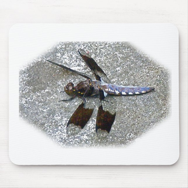 Blue Dragonfly Mouse Pad (Front)