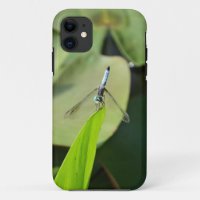 Blue Dragonfly on a green leaf.