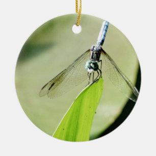 Blue Dragonfly on a green leaf Ceramic Ornament