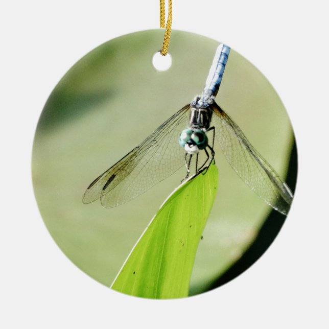 Blue Dragonfly on a green leaf Ceramic Ornament (Front)