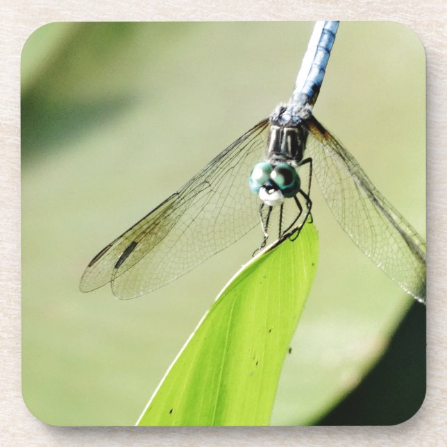 Blue Dragonfly on a green leaf Coaster (Front)
