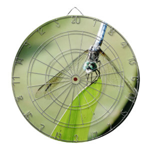 Blue Dragonfly on a green leaf Dartboard