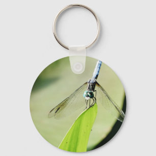 Blue Dragonfly on a green leaf Key Ring