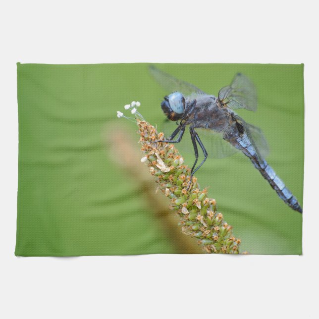 Blue dragonfly on grass tea towel (Horizontal)