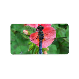 Blue dragonfly on pink flower green background label