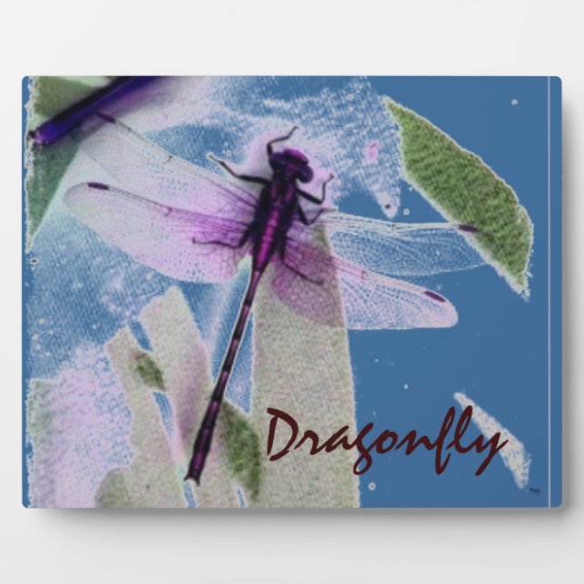 Blue Dragonfly  Plaque (Front)