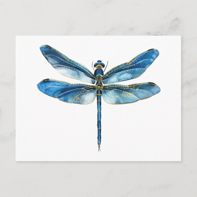 Blue dragonfly  postcard (Front)