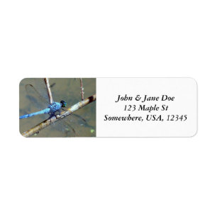 Blue DragonFly Return Address Label