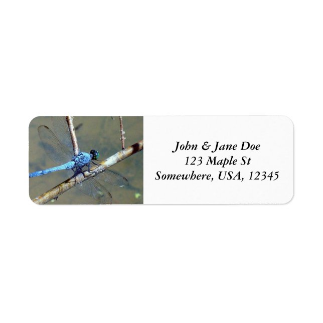 Blue DragonFly Return Address Label (Front)