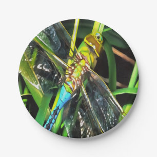 Blue Dragonfly Shimmering Wings Painting Paper Plate