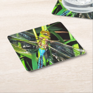 Blue Dragonfly Shimmering Wings Painting Square Paper Coaster