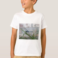 Blue Dragonfly