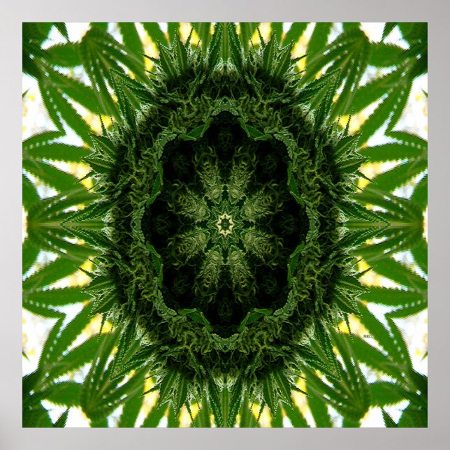 Blue Dream Mandala... Poster (Front)