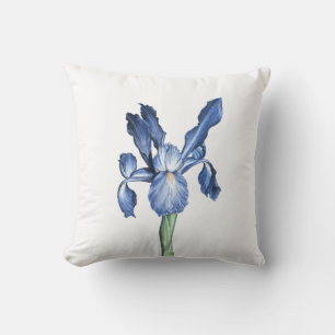 Blue Dutch Iris - Cushion