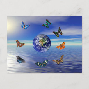 Blue Earth Butterflies Postcard