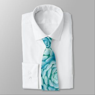 Blue Echeveria Succulents Tie