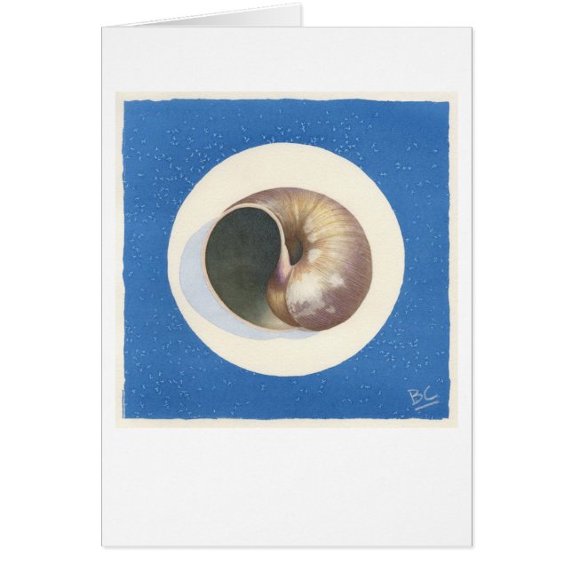BLUE ECHO SHELL ECHOING (Front)