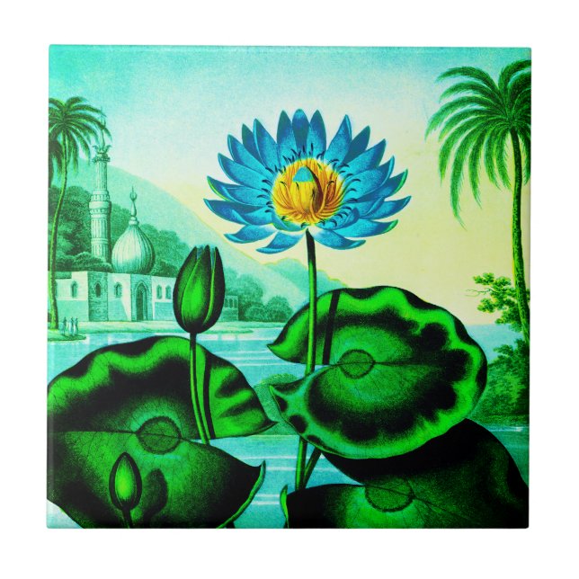 Blue Egyptian Water Lily / Lotus Illustration  Ceramic Tile (Front)