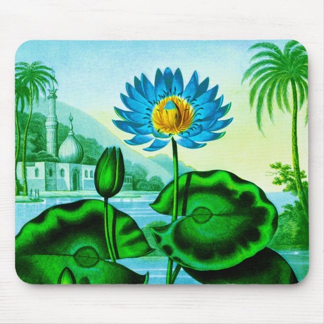 Blue Egyptian Water Lily / Lotus Illustration  Mouse Pad (Front)