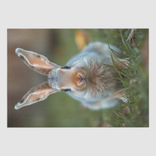 "Blue Elegance: The Russian Bunny" Tissue Paper