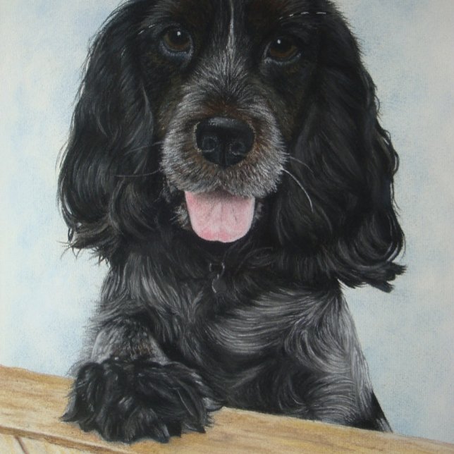 blue english cocker spanial very cute dog jigsaw puzzle (Creator Uploaded)