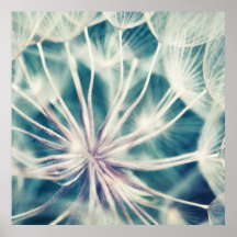 Blue Ethereal Dandalion Macro