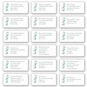 Blue EucaIyptus Individual Recipient Name Address