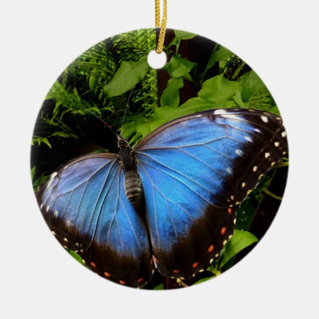 blue exotic butterfly ceramic ornament (Front)