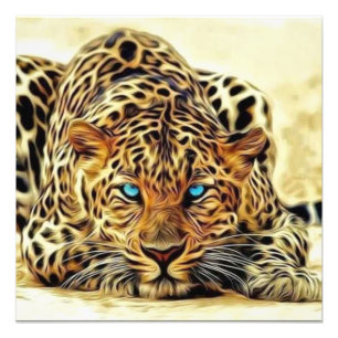 Blue Eye Leopard Photo Print