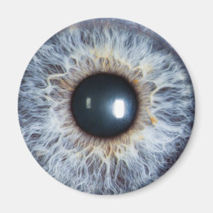 blue eye magnet