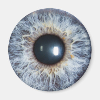 blue eye magnet
