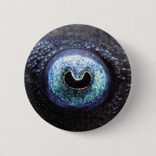 Blue Eye Plecoの缶バッジ 6 Cm Round Badge