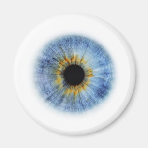 Blue Eyeball Magnet