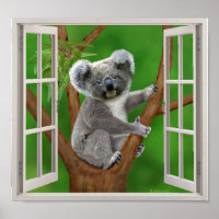Blue-Eyed Baby Koala Bear Fake Window