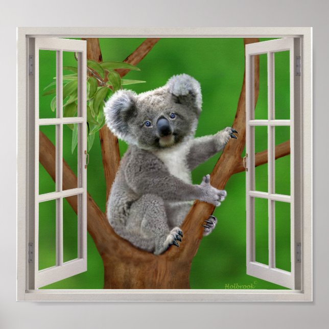 Blue-Eyed Baby Koala Bear Fake Window Poster (Front)