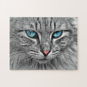 Blue Eyed Cat - Jigsaw Puzzle