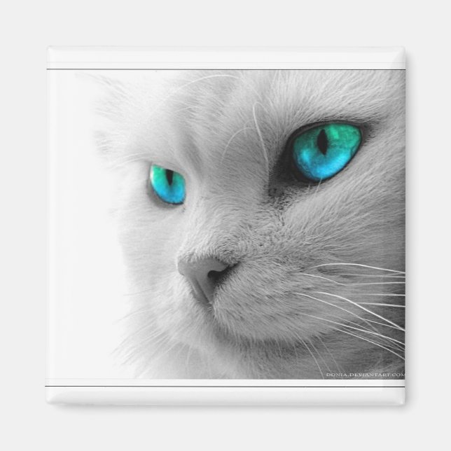 Blue Eyed Cat Magnet (Front)
