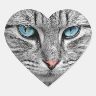 Blue-Eyed Cat Sticker