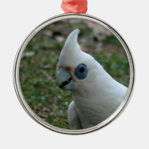 Blue Eyed Cockatoo Metal Tree Decoration