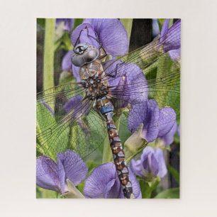 Blue-Eyed Darner Dragonfly on Flower Jigsaw Puzzle