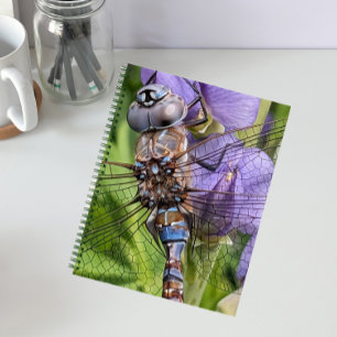 Blue-Eyed Darner Dragonfly on Flower Notebook