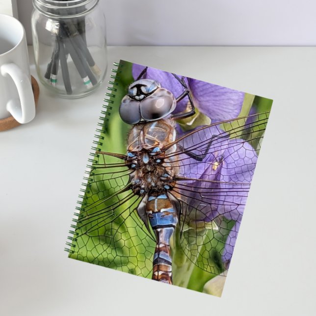 Blue-Eyed Darner Dragonfly on Flower Notebook (In Situ)