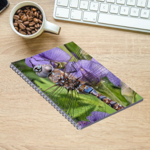 Blue-Eyed Darner Dragonfly on Flower Notebook