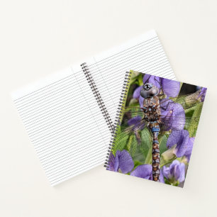 Blue-Eyed Darner Dragonfly on Flower Notebook