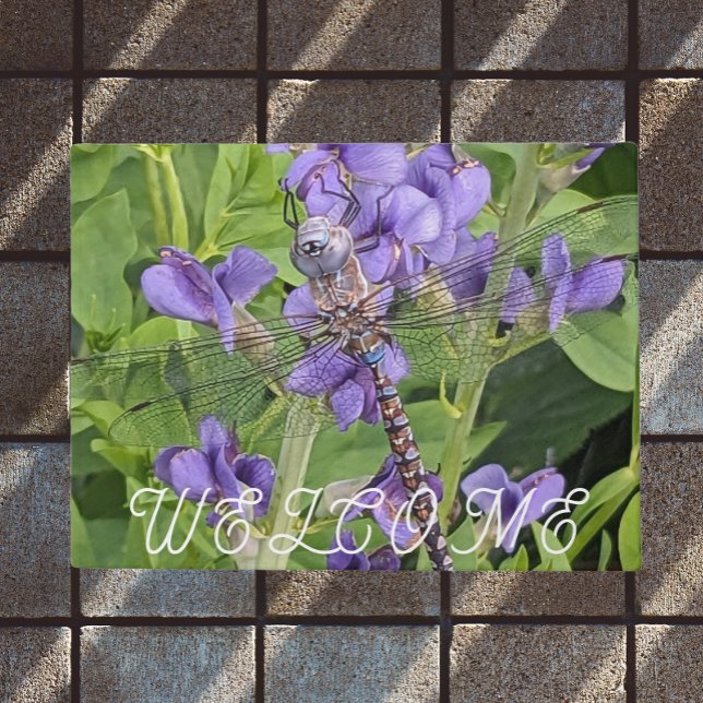 Blue-Eyed Darner Dragonfly on Flowers Welcome Doormat (In Situ)