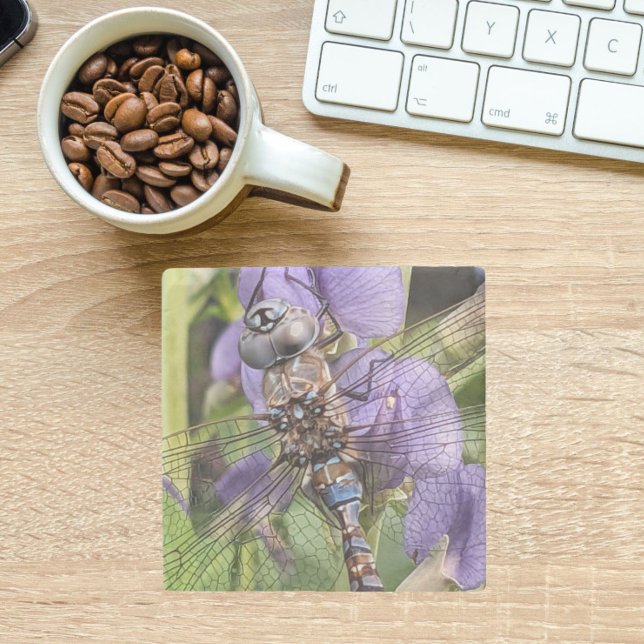 Blue-Eyed Darner Dragonfly on Purple Flowers Stone Coaster (In Situ Office)